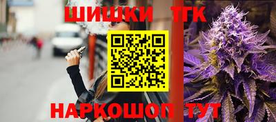 молекула духа Кингисепп