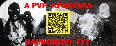 молекула духа Кингисепп