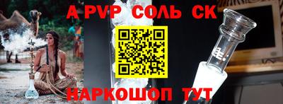 молекула духа Кингисепп